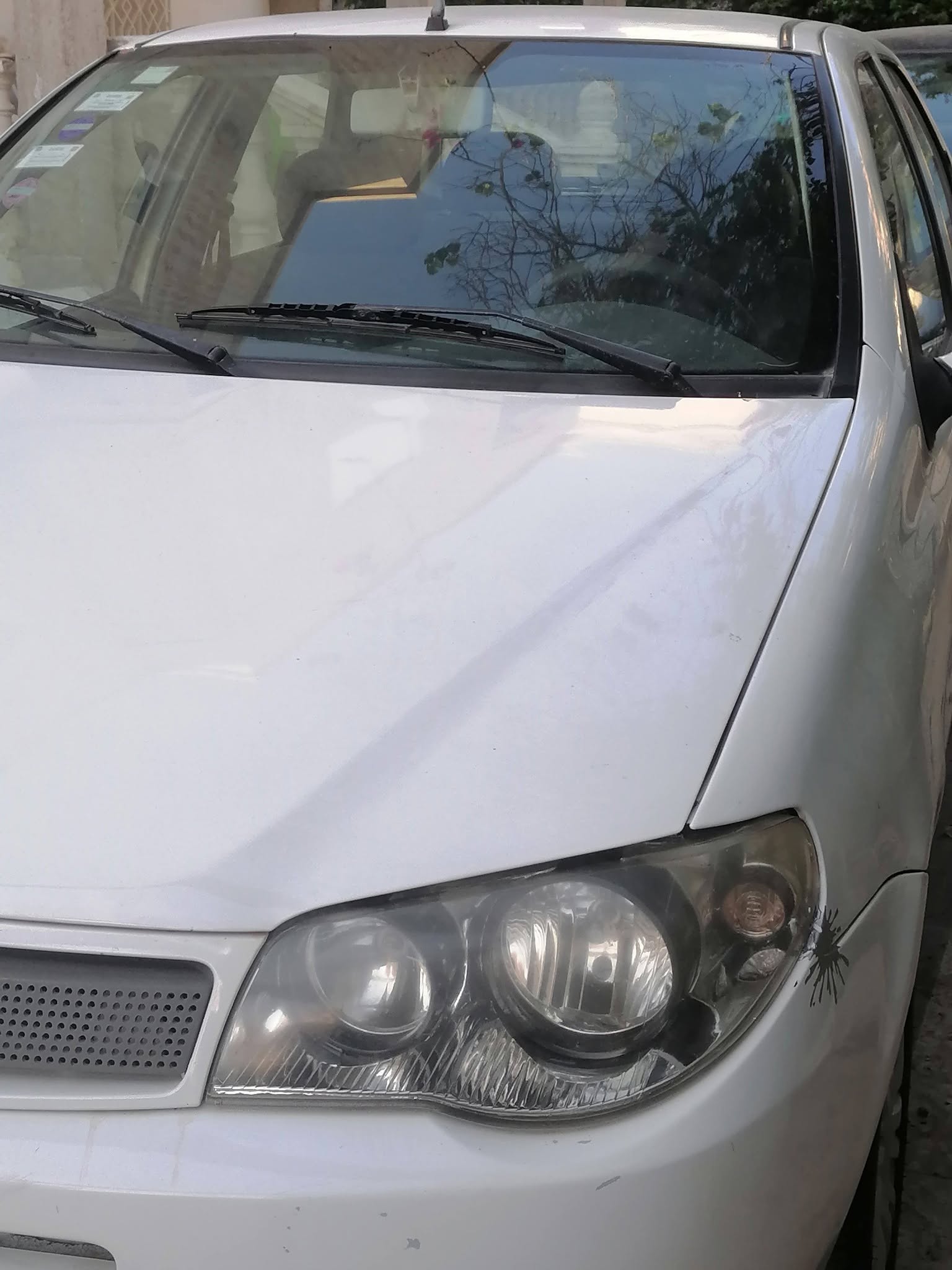 Ariana Ville&nbsp;Ariana&nbsp;Fiat&nbsp;Palio&nbsp;Fiat palio 3