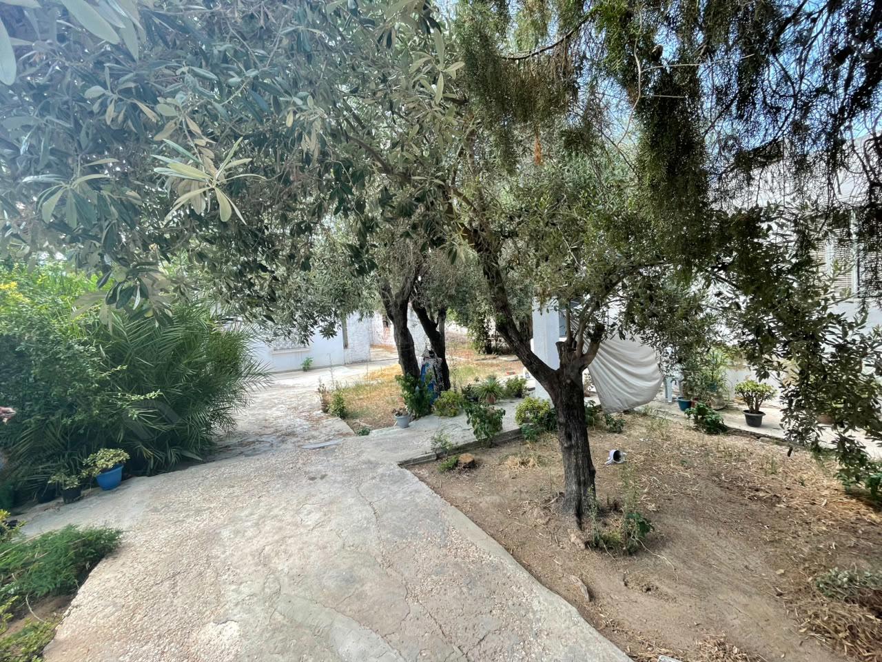 Vente Autre - Tunisie