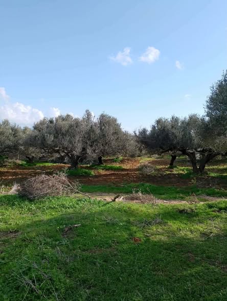 Hammam El Ghezaz&nbsp;Ezzahra&nbsp;Terrain&nbsp;Terrain agricole&nbsp;Terrain  agricole