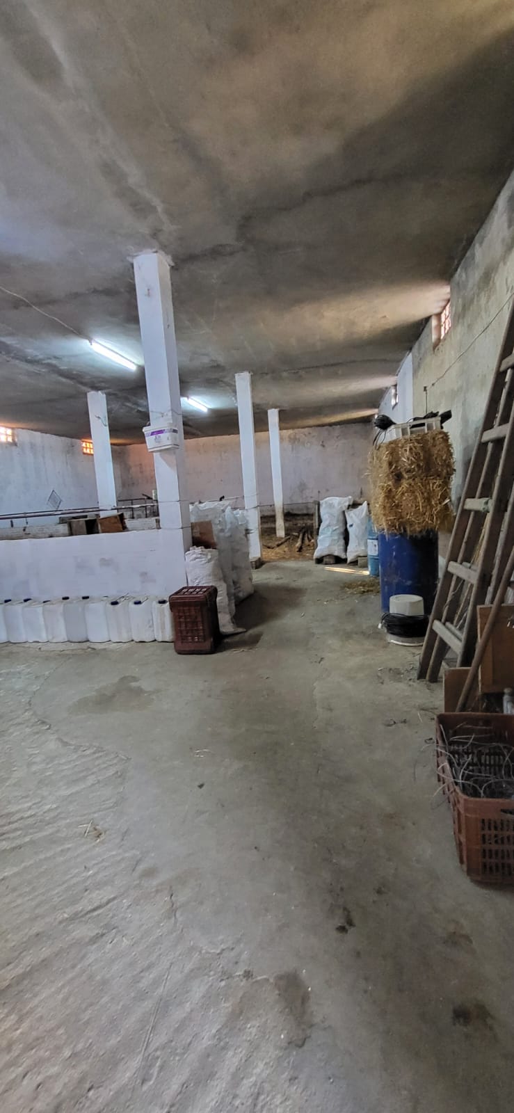 Vente&nbsp;Autre - Tunisie