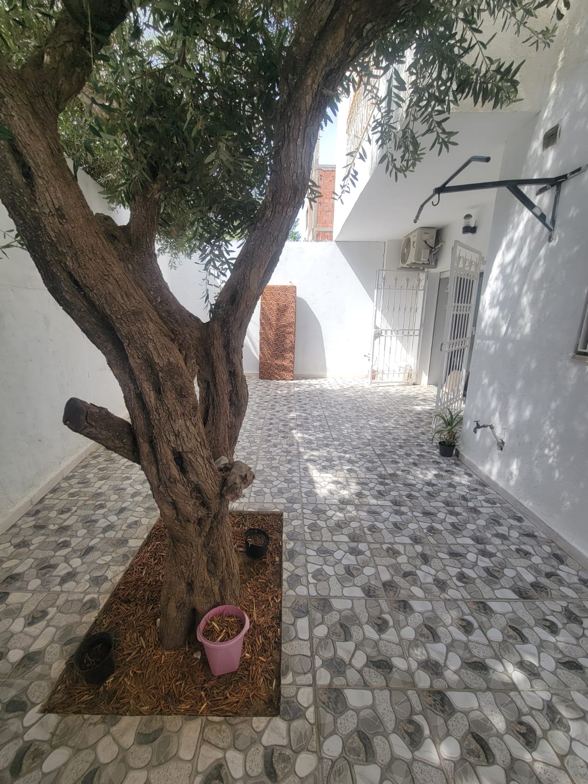 Bizerte Nord&nbsp;Cite El Korniche 1&nbsp;Vente&nbsp;Appart. 3 pi�ces&nbsp;Appartement en rdc � corniche s3