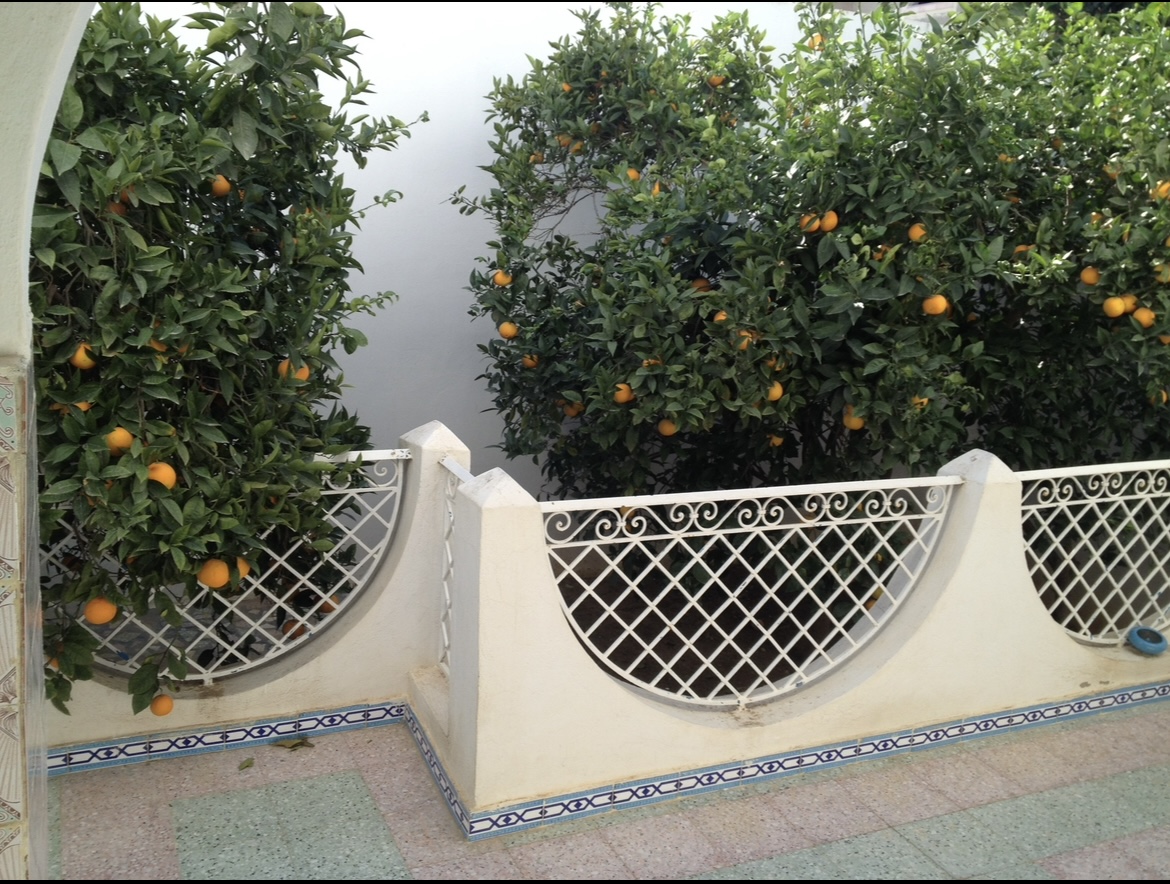 Hammamet&nbsp;Chaabet El Mrezga&nbsp;Vente&nbsp;Maisons&nbsp;Villa et studios