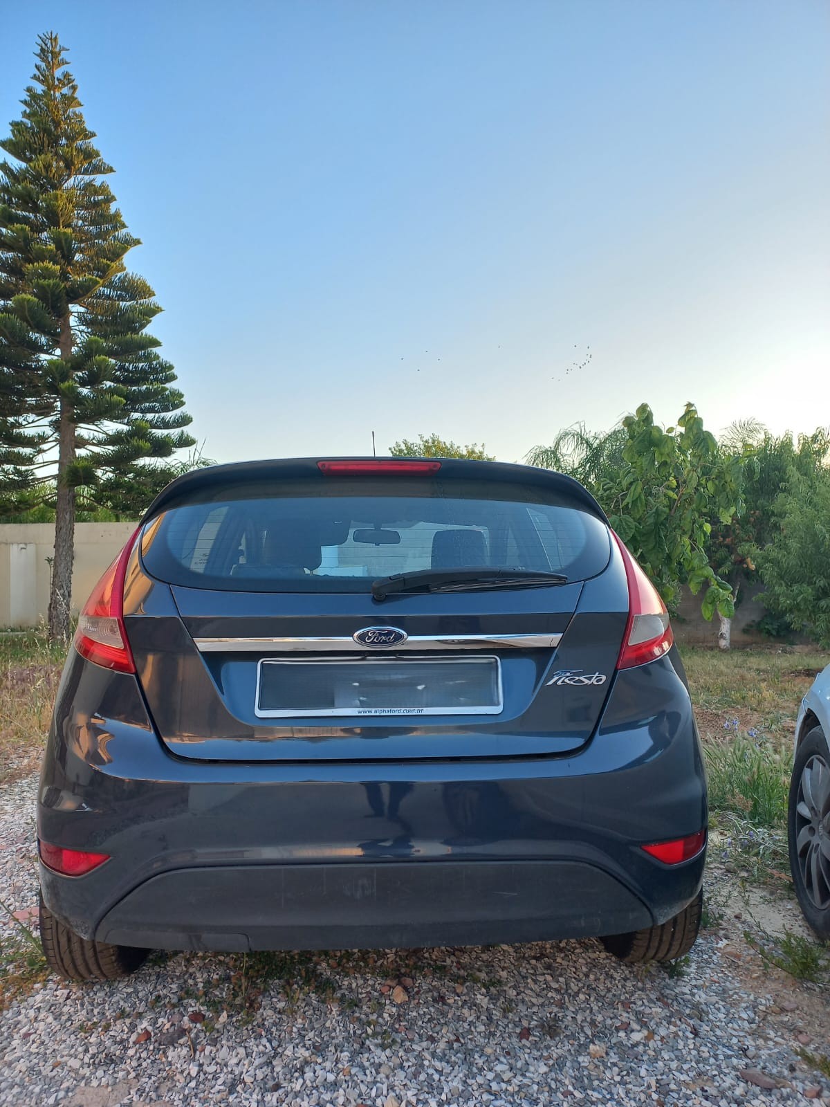 Ariana Ville&nbsp;El Menzah 6&nbsp;Ford&nbsp;Fiesta&nbsp;Ford fiesta 2011