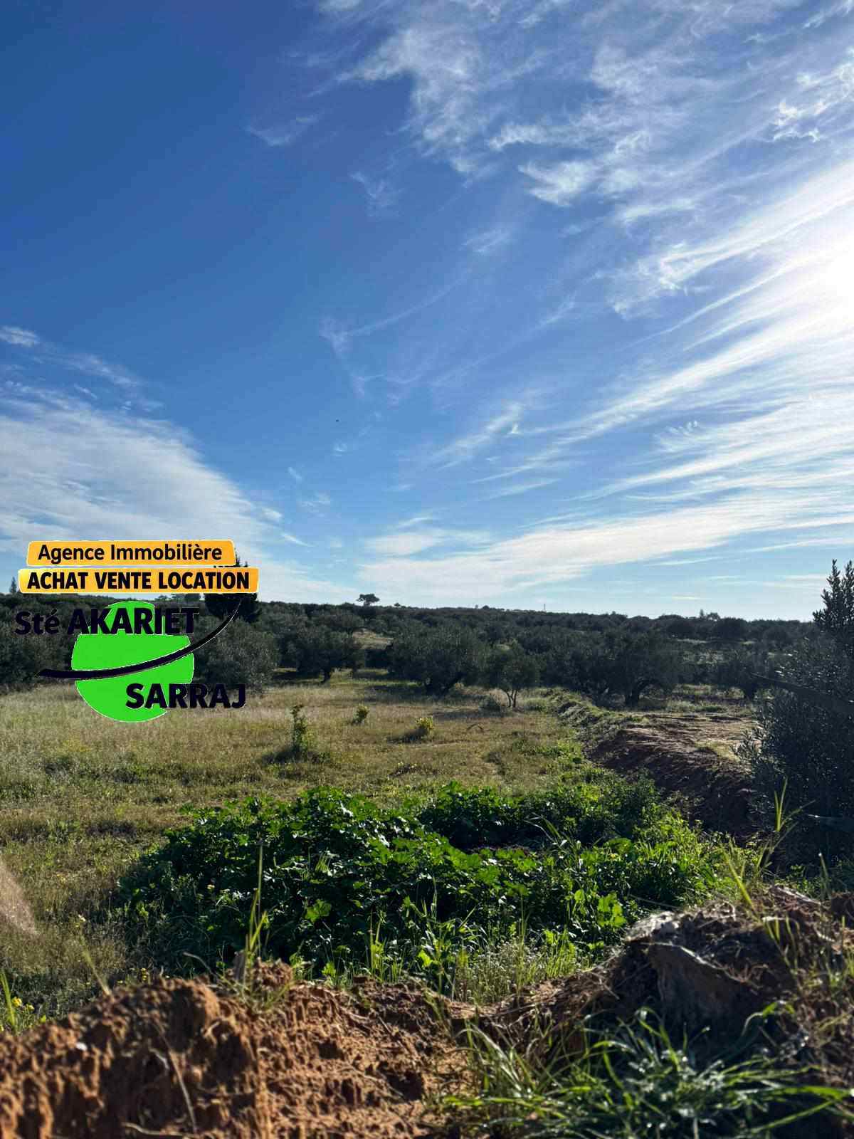 Sidi Bou Ali&nbsp;Sidi Bou Ali&nbsp;Terrain&nbsp;Terrain agricole&nbsp;Lotissement priv� pr�s l'usine de lait sidi bouali