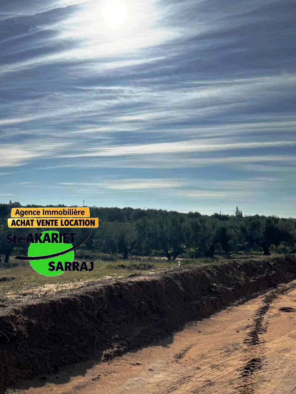 Sidi Bou Ali&nbsp;Sidi Bou Ali&nbsp;Terrain&nbsp;Terrain agricole&nbsp;Lotissement priv� pr�s l'usine de lait sidi bouali