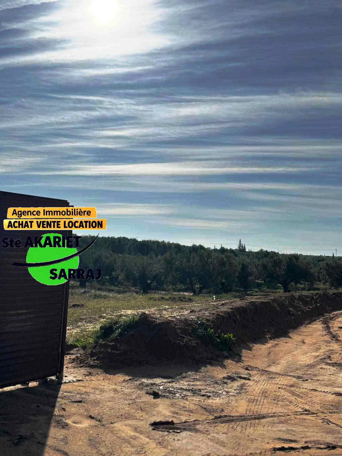 Sidi Bou Ali&nbsp;Sidi Bou Ali&nbsp;Terrain&nbsp;Terrain agricole&nbsp;Lotissement priv� pr�s l'usine de lait sidi bouali