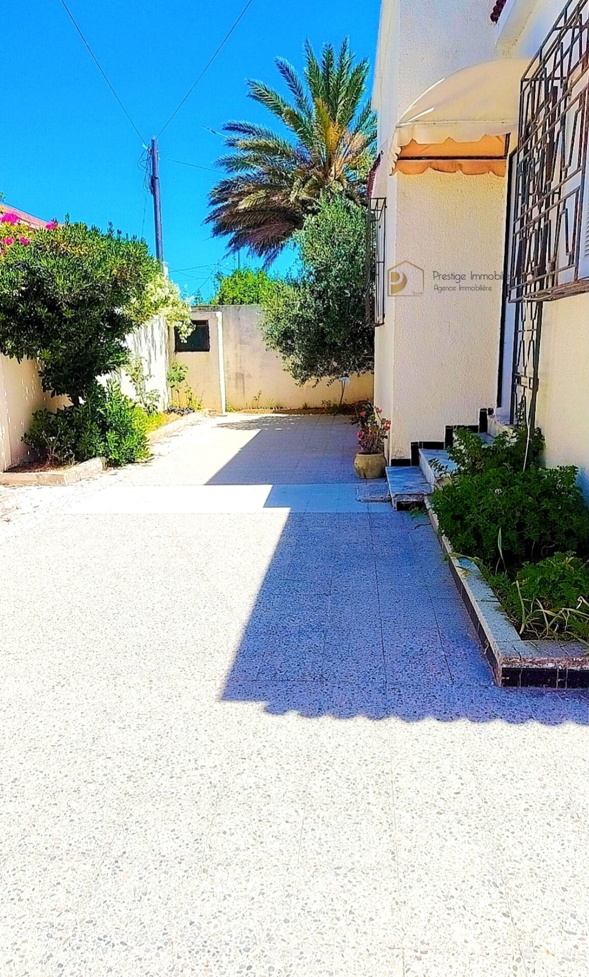 Soliman&nbsp;Soliman&nbsp;Vente&nbsp;Maisons&nbsp;Villa s3 plus studio