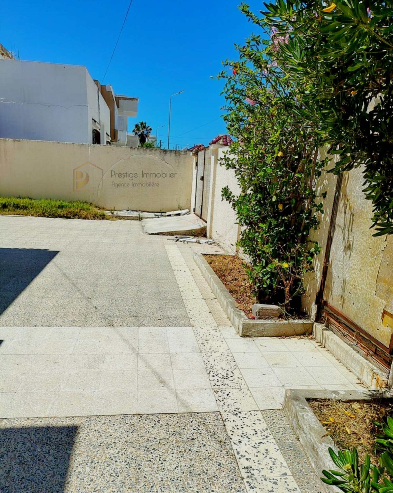 Soliman&nbsp;Soliman&nbsp;Vente&nbsp;Maisons&nbsp;Villa s3 plus studio