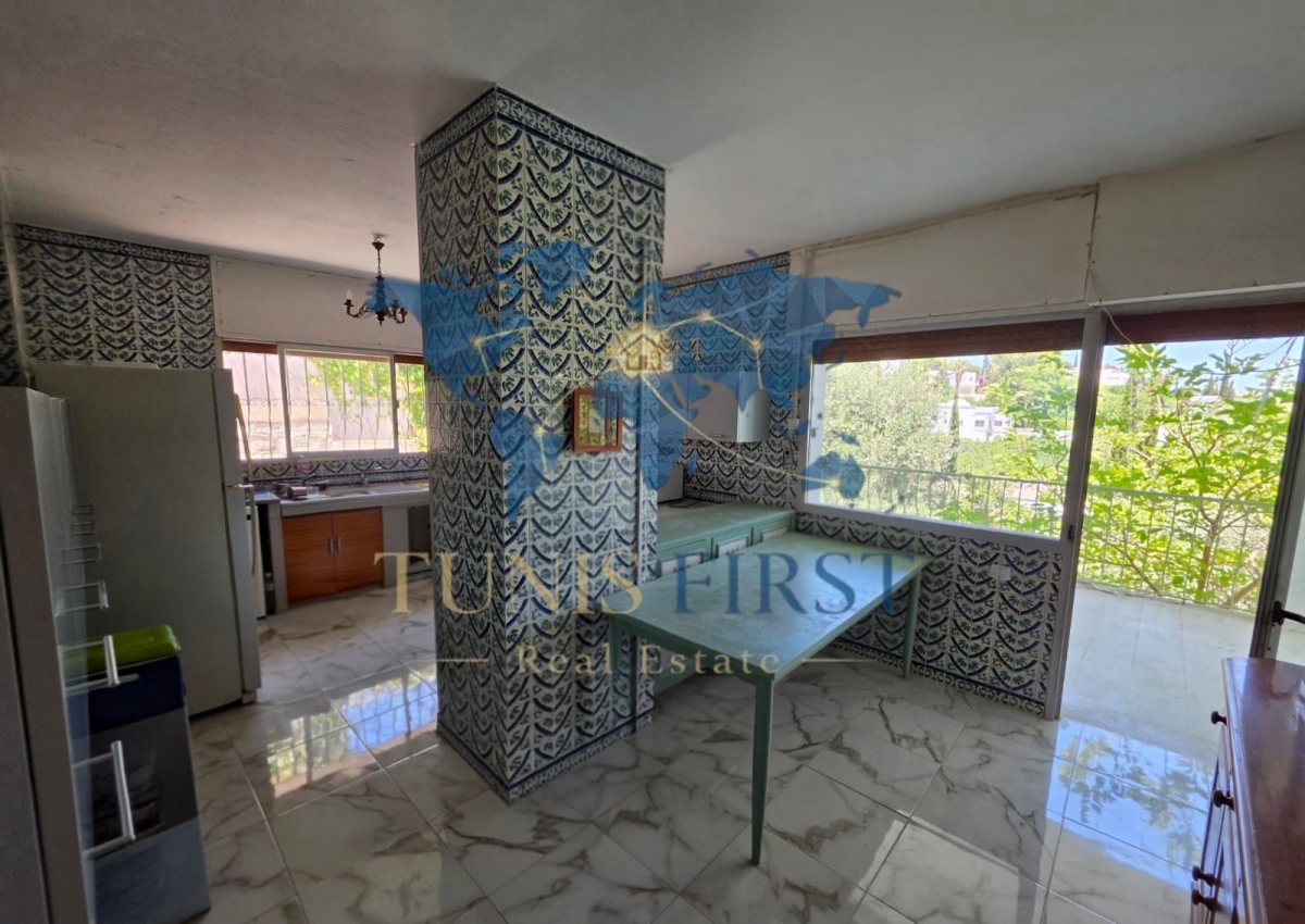 Carthage&nbsp;Carthage&nbsp;Vente&nbsp;Maisons&nbsp;Villa style arabesque  � carthage