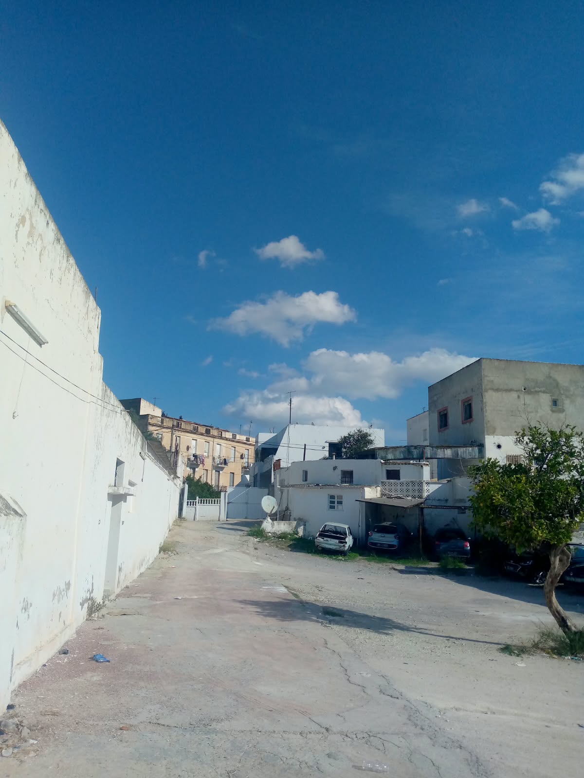 El Ouerdia&nbsp;Bellevue&nbsp;Vente&nbsp;Maisons&nbsp;Terrain avec maison et locaux commerci