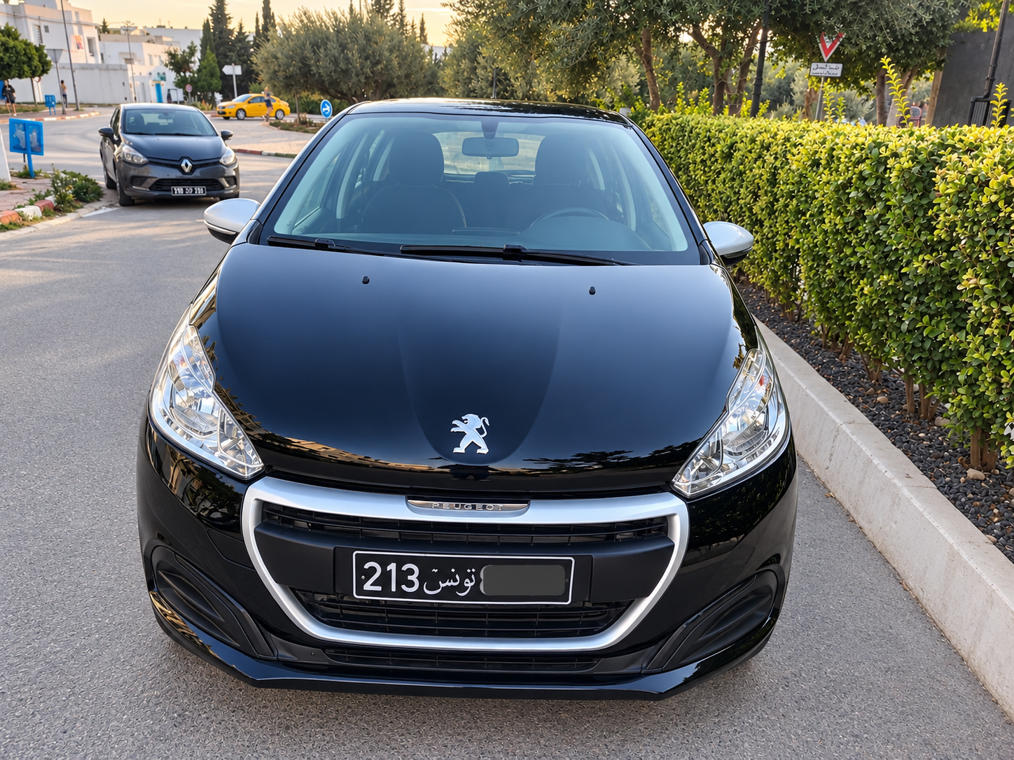 La Marsa&nbsp;Cite Erriadh&nbsp;Peugeot&nbsp;208&nbsp;208 peugeot 4cv dame 1ere main
