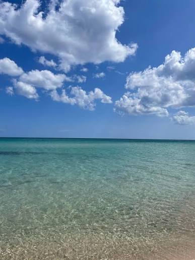 Vente&nbsp;Surfaces - Tunisie
