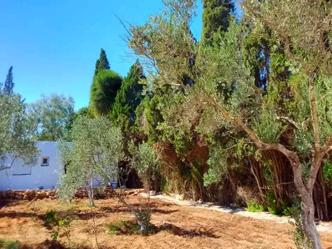 Ras Jebel&nbsp;Ras Jebel&nbsp;Vente&nbsp;Maisons&nbsp;Maison s 2  terrain 310 m 2 route plage